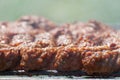 Minced meat rolls on grill (traditional Romanian food) Ã¢â¬â mititei, mici Royalty Free Stock Photo